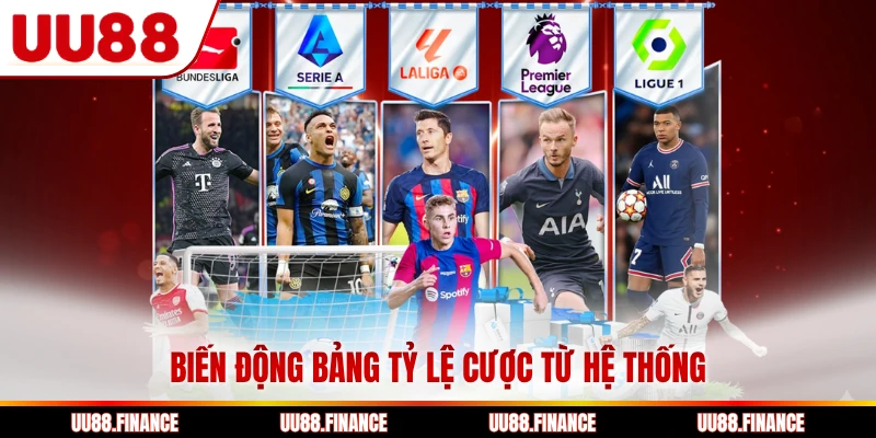 Biến động bảng tỷ lệ cược từ hệ thống
