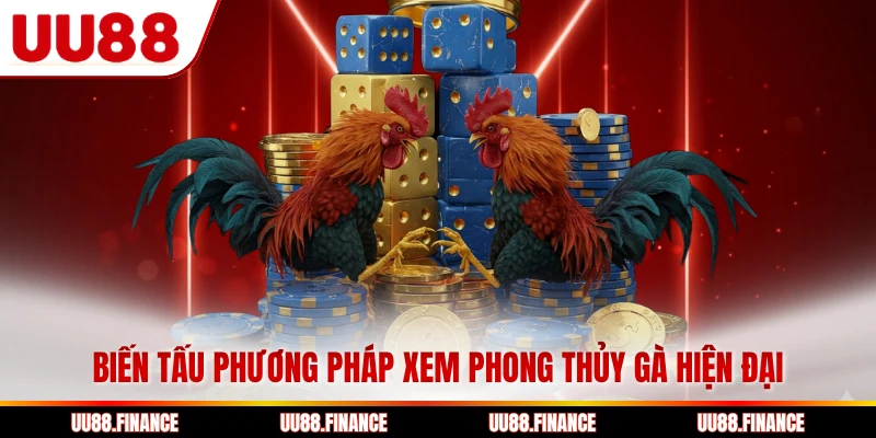 Biến tấu phương pháp xem phong thủy gà hiện đại