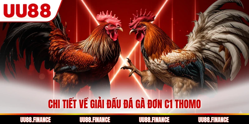 Chi tiết về giải đấu đá gà đơn C1 Thomo