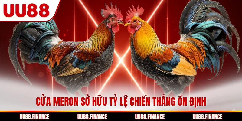 Cửa Meron sở hữu tỷ lệ chiến thắng ổn định