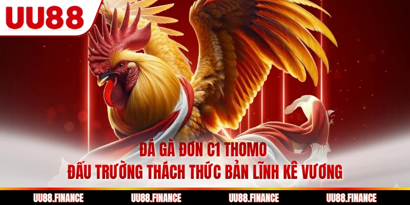 Đá Gà Đơn C1 Thomo - Đấu Trường Thách Thức Bản Lĩnh Kê Vương