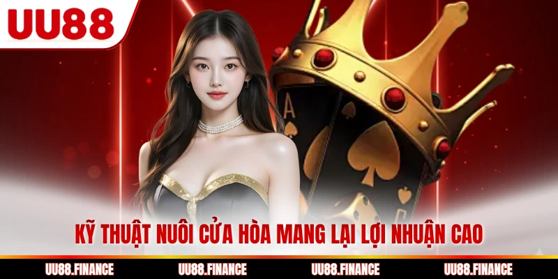 Kỹ thuật nuôi cửa hòa mang lại lợi nhuận cao