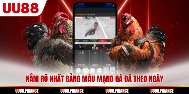 Nắm rõ nhất bảng màu mạng gà đá theo ngày