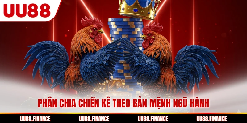 Phân chia chiến kê theo bản mệnh ngũ hành