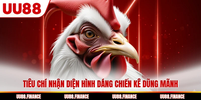 Tiêu chí nhận diện hình dáng chiến kê dũng mãnh